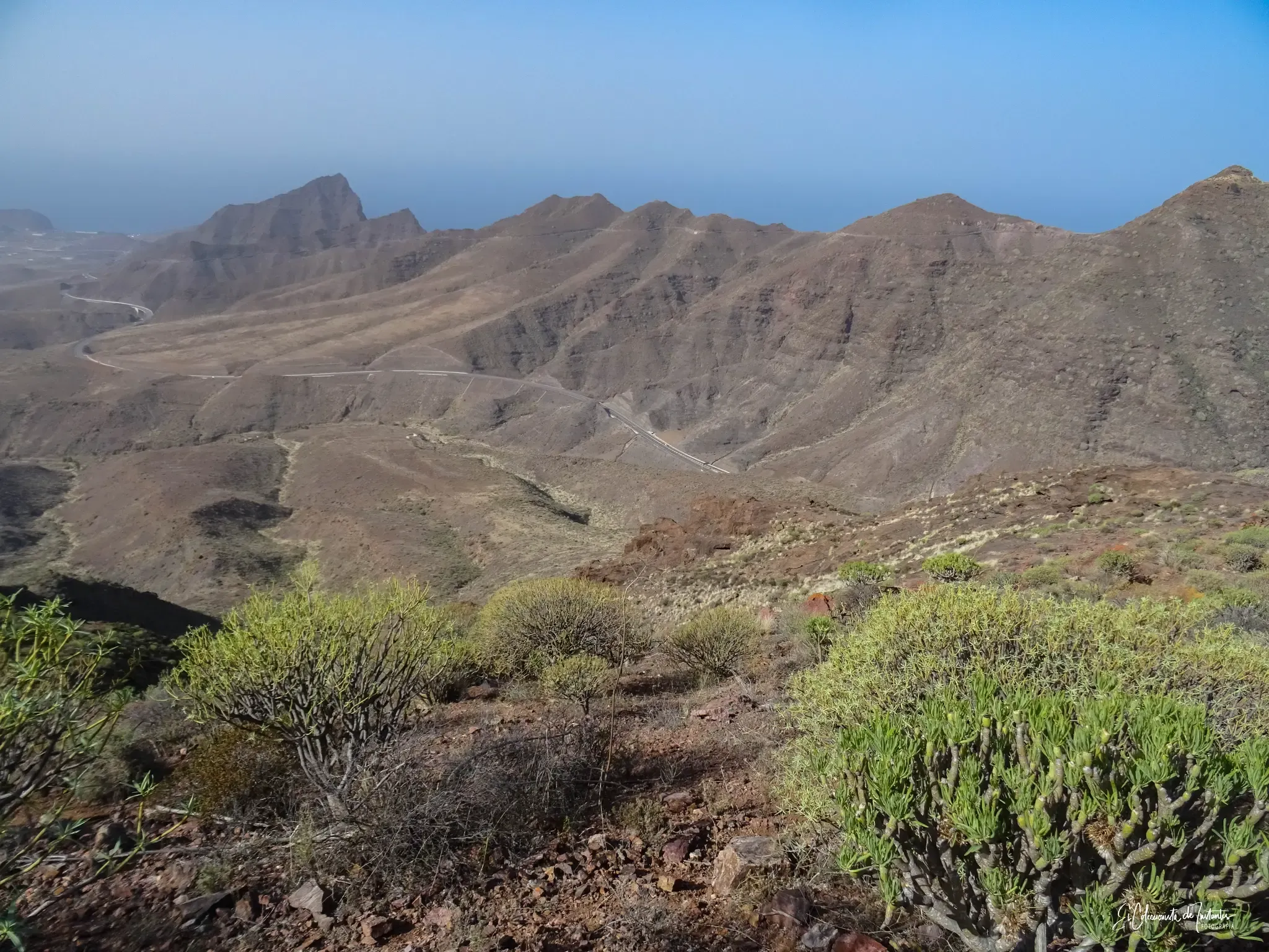 Lomas de roca desnuda y ocre en planos sucesivos hacia el mar, con tabaibas y cardones verdes en primer término.